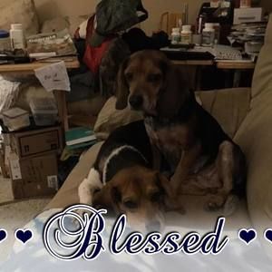 Meet your Posher, Cara